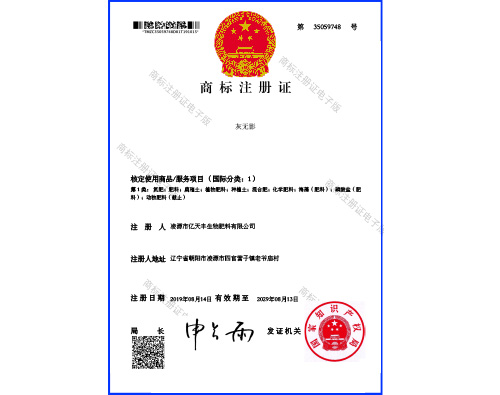 荣誉资质